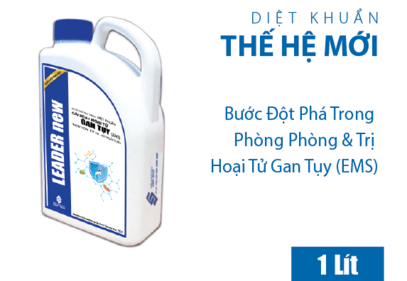 LEADER new - Ảnh 3